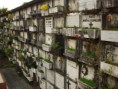 /album/fotogaleria-brazilia-zajazd-vy-a-my/zajazd-rio-de-janeiro-7-jpg/